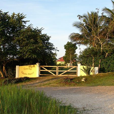 Casa Del Caballo Blanco San Ignacio Eksteriør billede