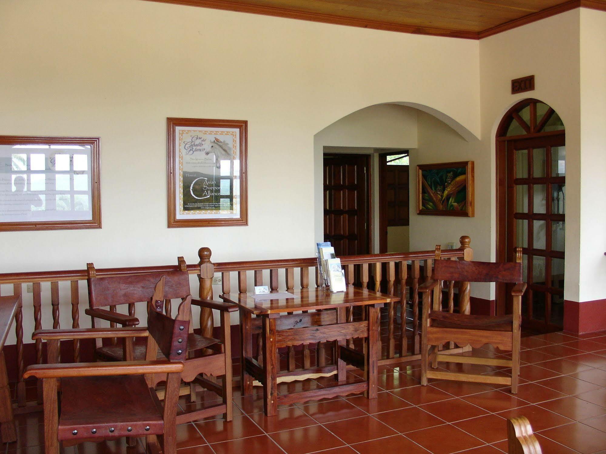 Casa Del Caballo Blanco San Ignacio Eksteriør billede