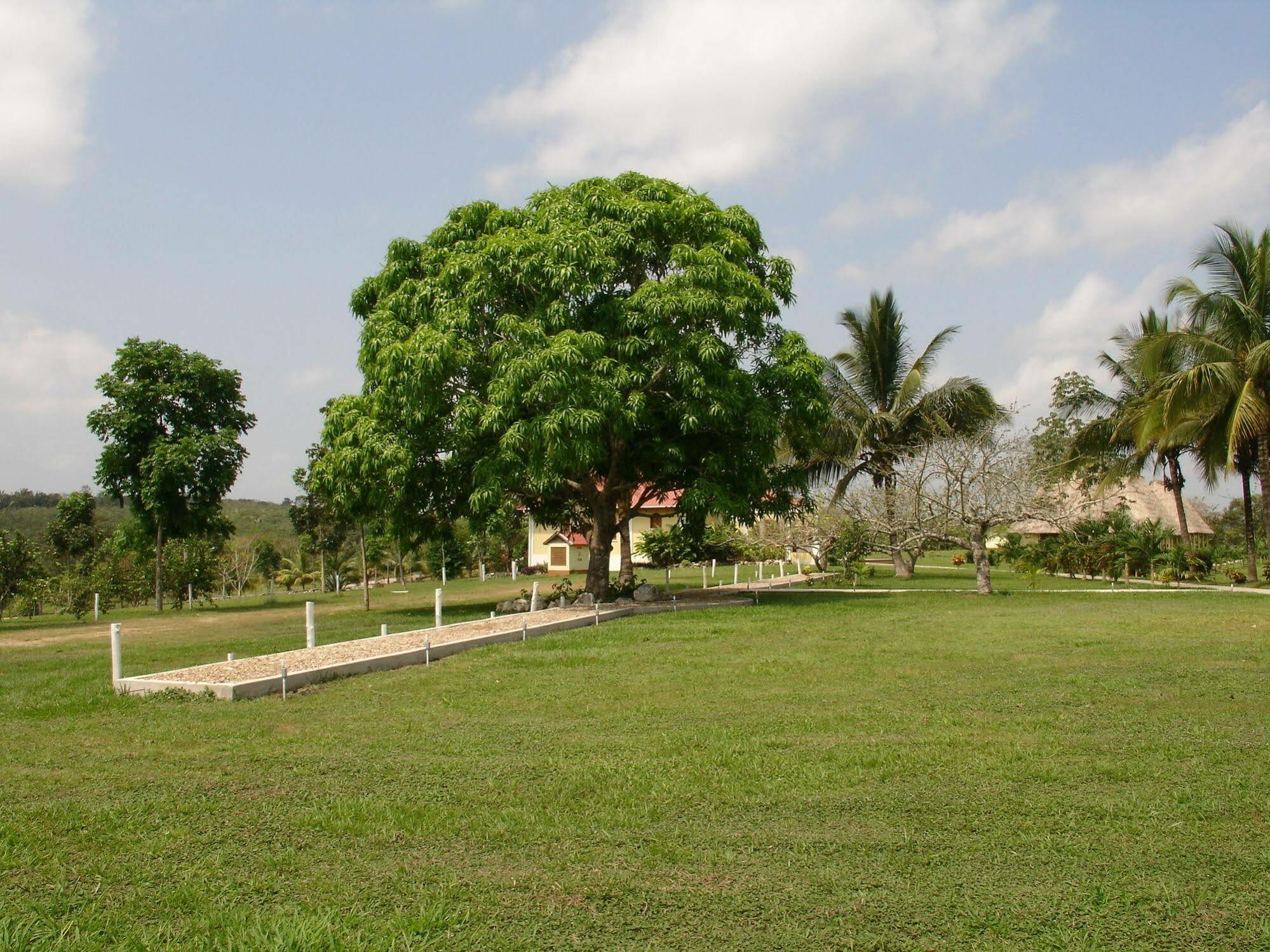 Casa Del Caballo Blanco San Ignacio Eksteriør billede