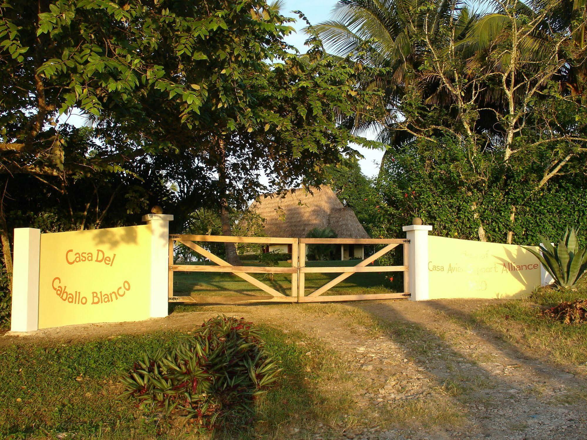 Casa Del Caballo Blanco San Ignacio Eksteriør billede