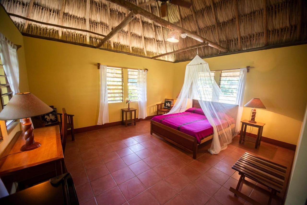 Casa Del Caballo Blanco San Ignacio Eksteriør billede